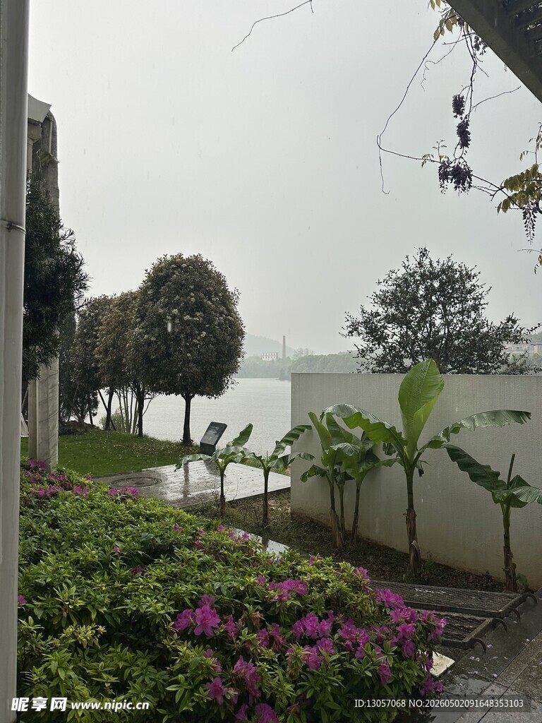 庭院绿植花卉景观一角