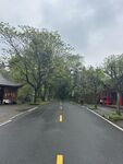 林间公路
