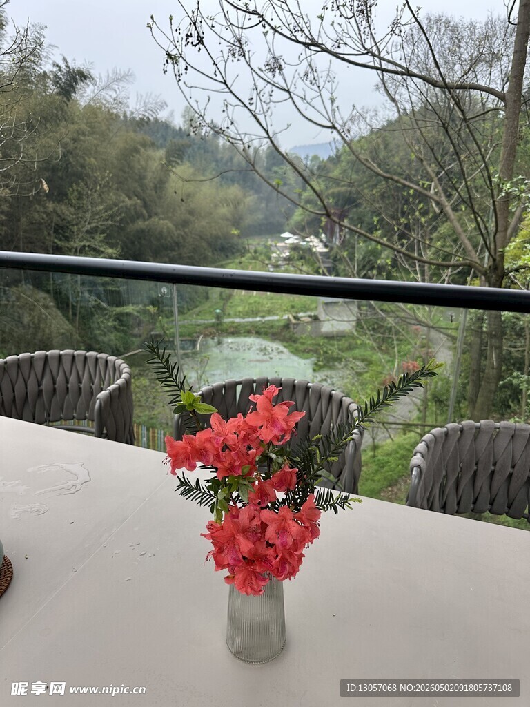 阳台景致 