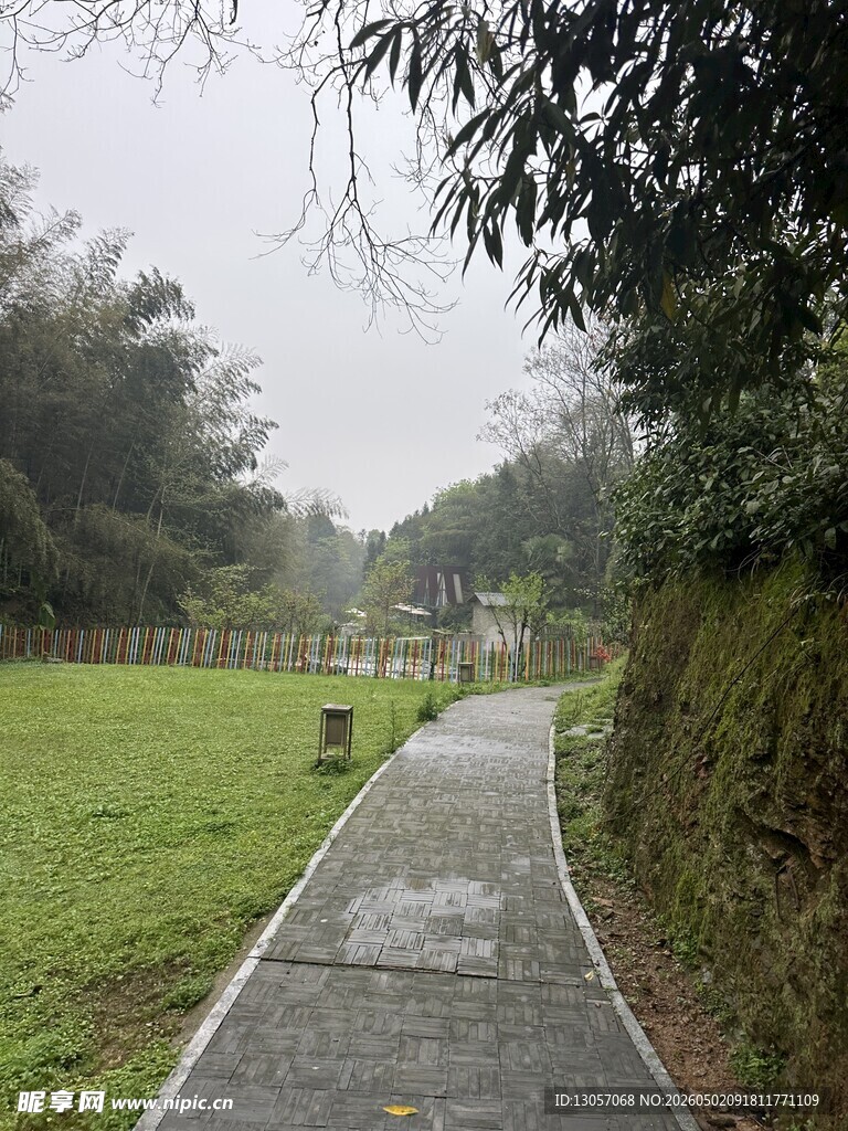 雨中漫步小径的清新景致