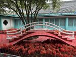中式庭院红桥绿植景观