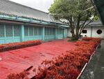 中式庭院红地毯花卉景观