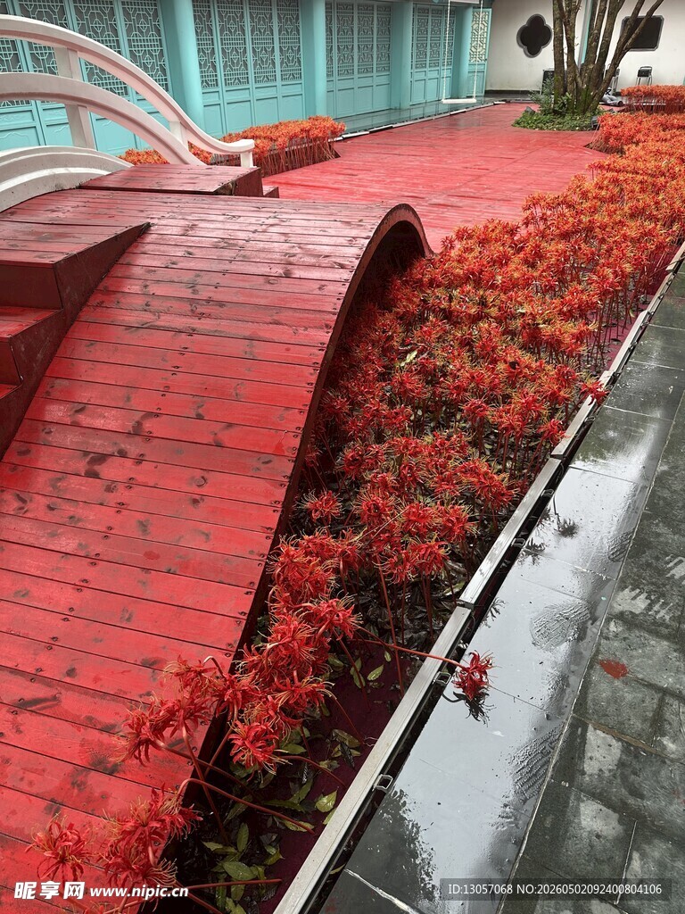 红瓦覆落花 