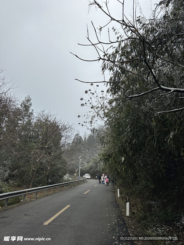 雾中蜿蜒公路