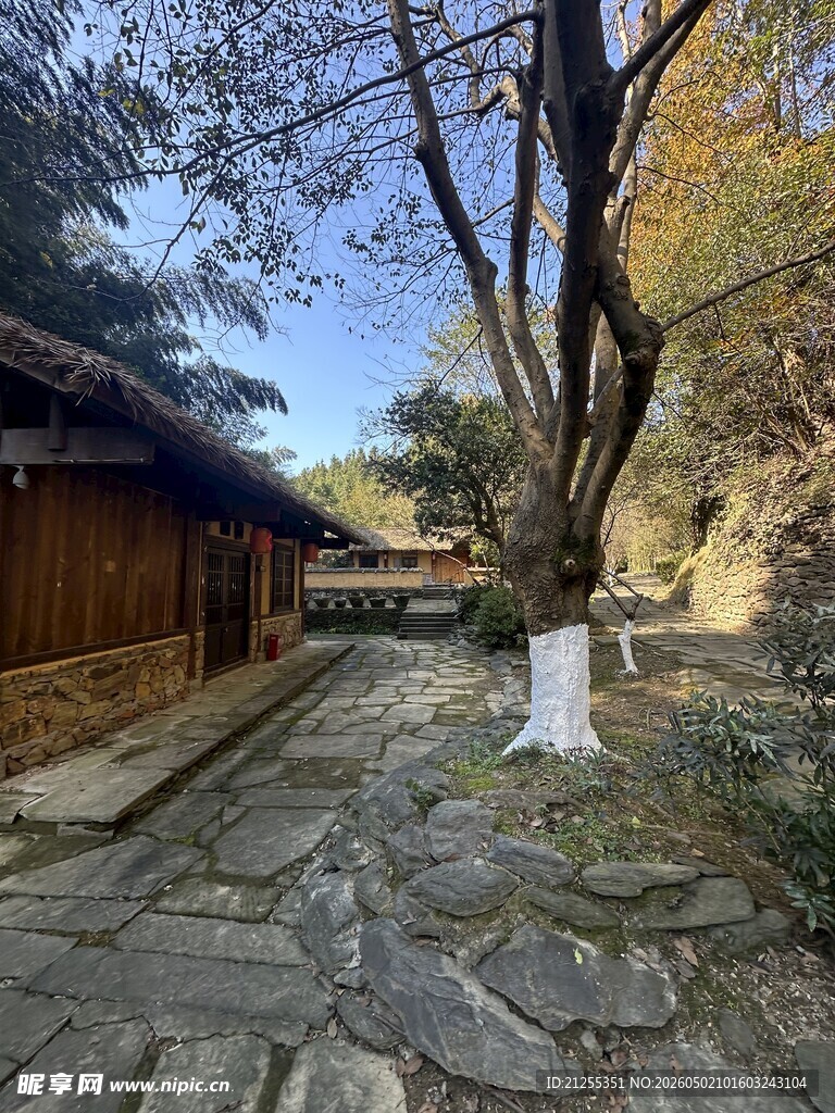 古巷石径旁的古朴屋舍