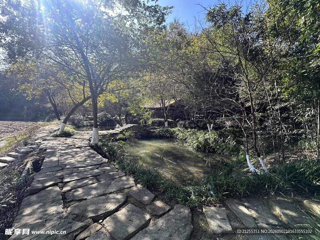 林间碎石小径风景