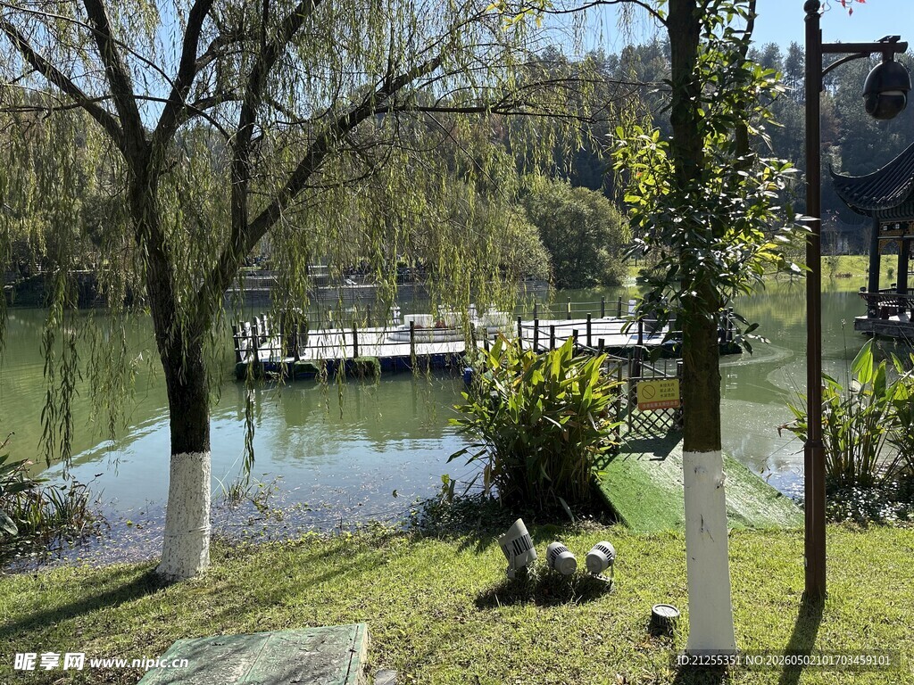 湖畔春景