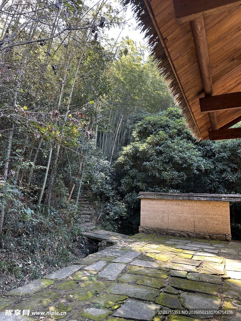 庭院林间景致