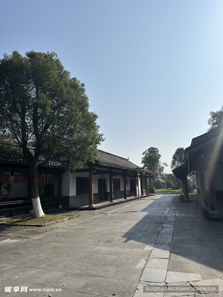 乡村宁静街道景象