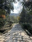 山间石径 