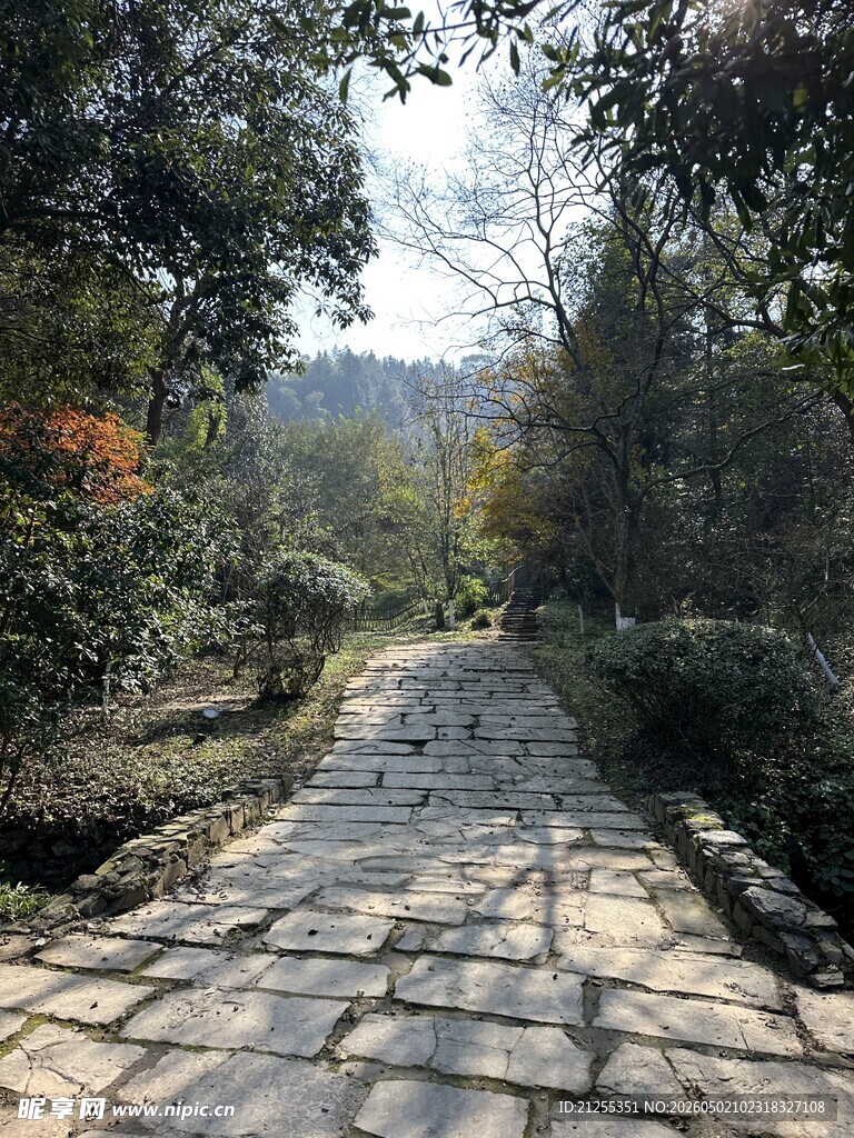 山间石径 
