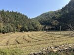 秋日山间梯田田园景致