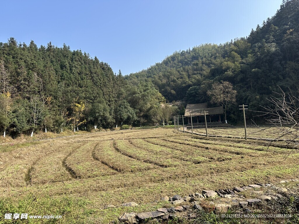 秋日山间梯田田园景致