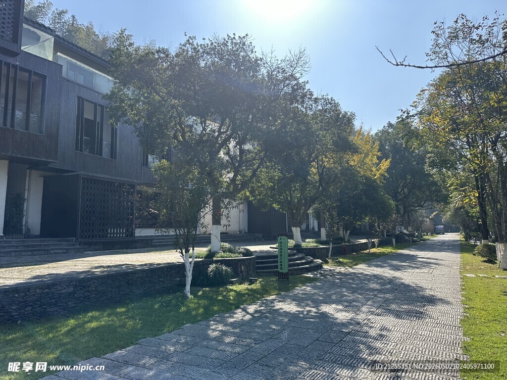 阳光洒落的静谧街道风景