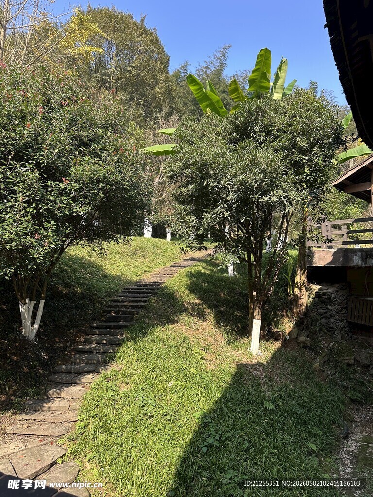 山间绿意盎然的幽静小径
