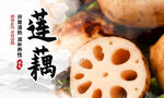 莲藕海报