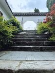 中式庭院石阶绿植景观
