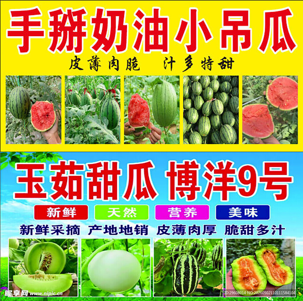 手掰奶油小吊瓜  玉菇甜瓜