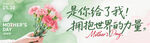 感恩母爱 鲜花与温馨话语