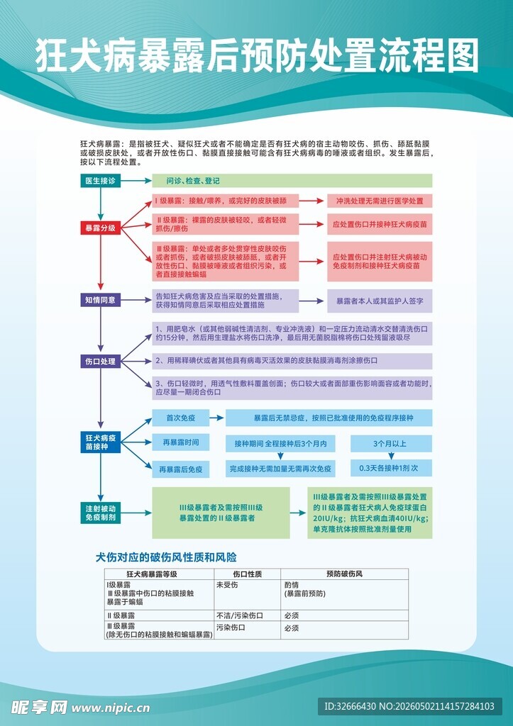 狂犬病暴露后预防处置流程图