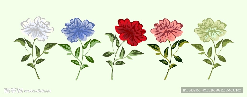 多彩花卉素材
