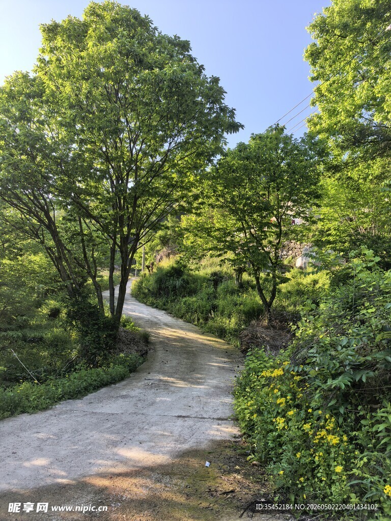 林间小路