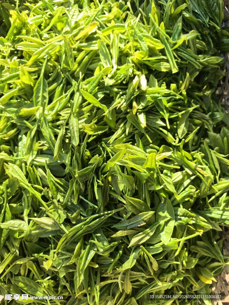 茶叶