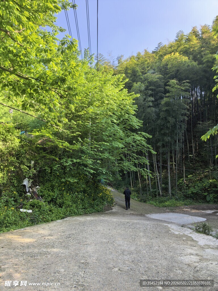 林间小路