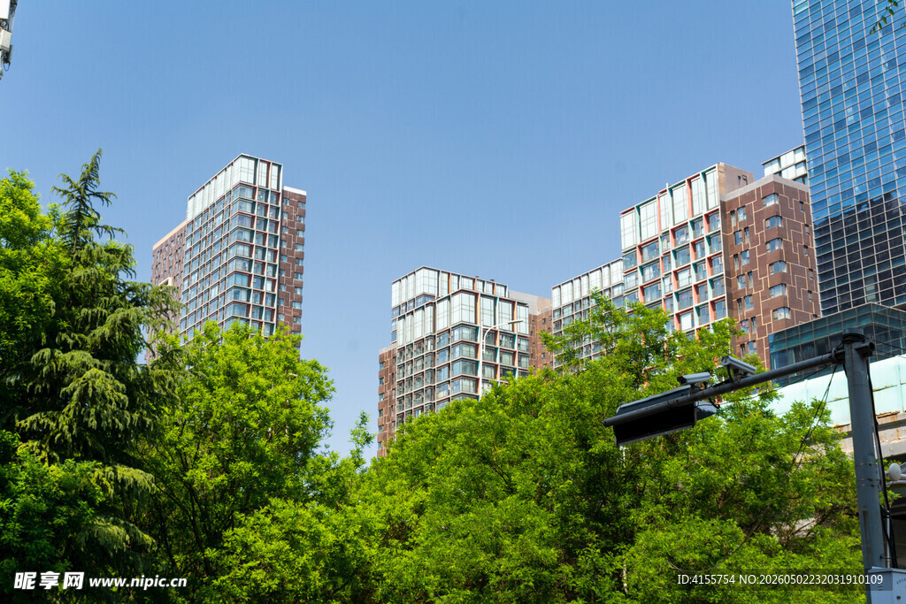 城市绿树间的高楼景致
