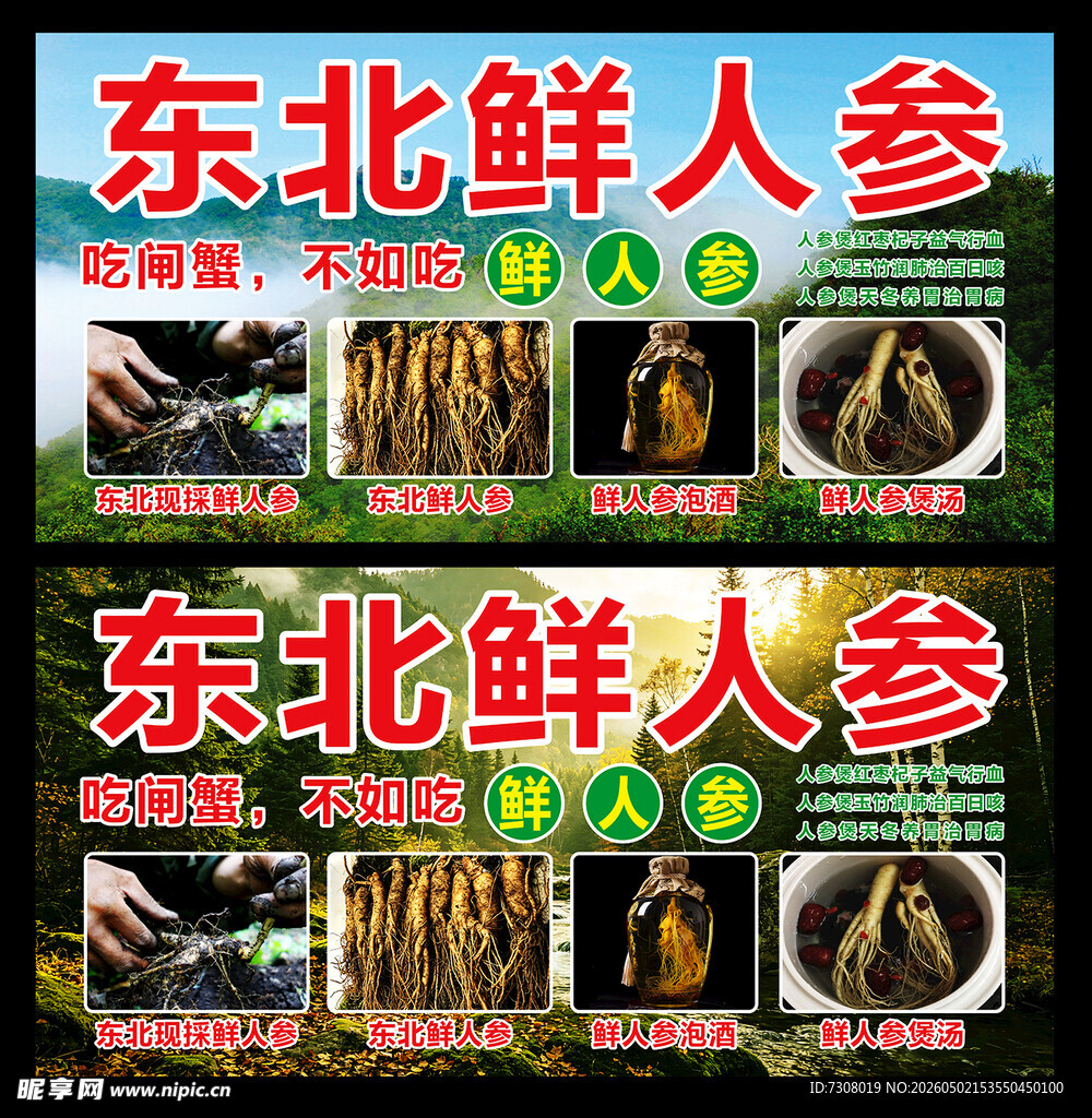东北鲜人参展示