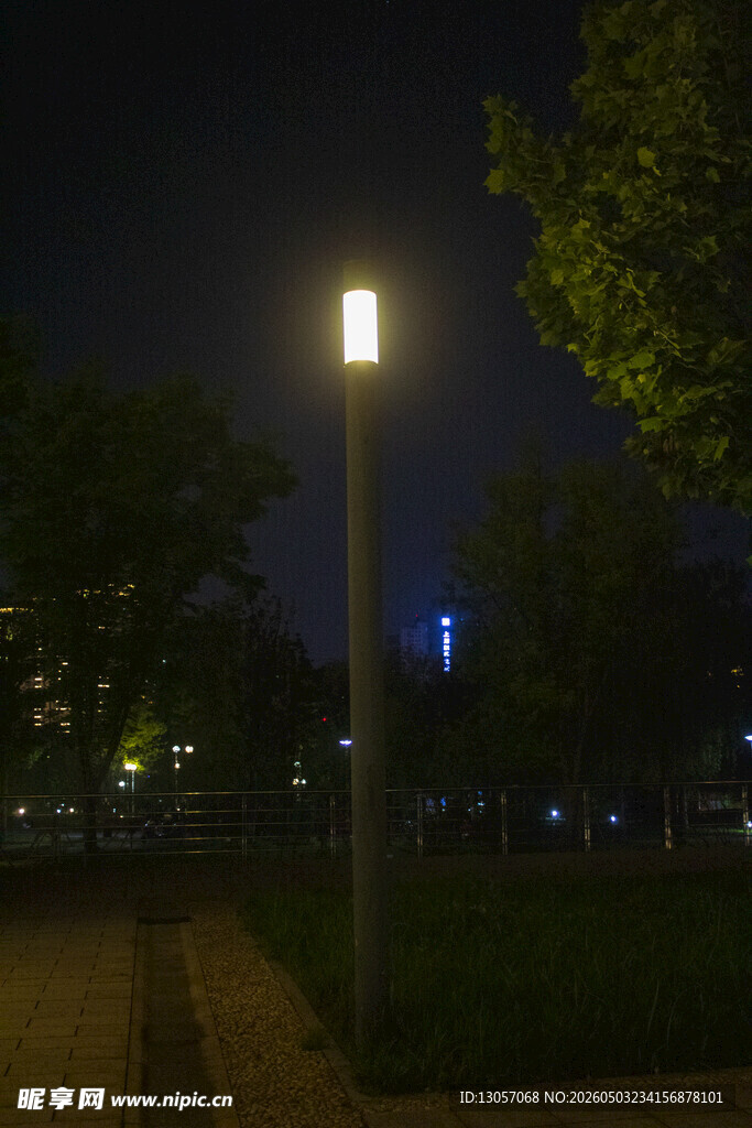 夜晚小径旁的明亮路灯