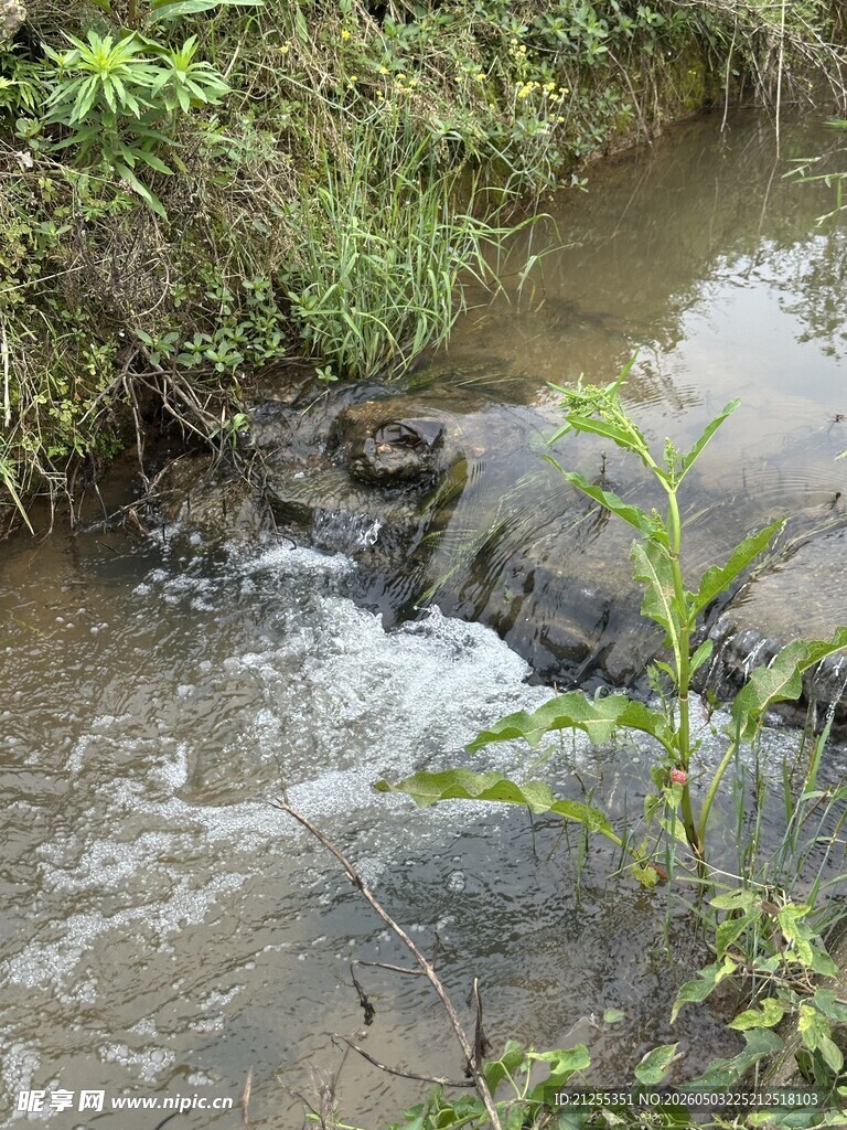 山间小溪潺潺流水景象