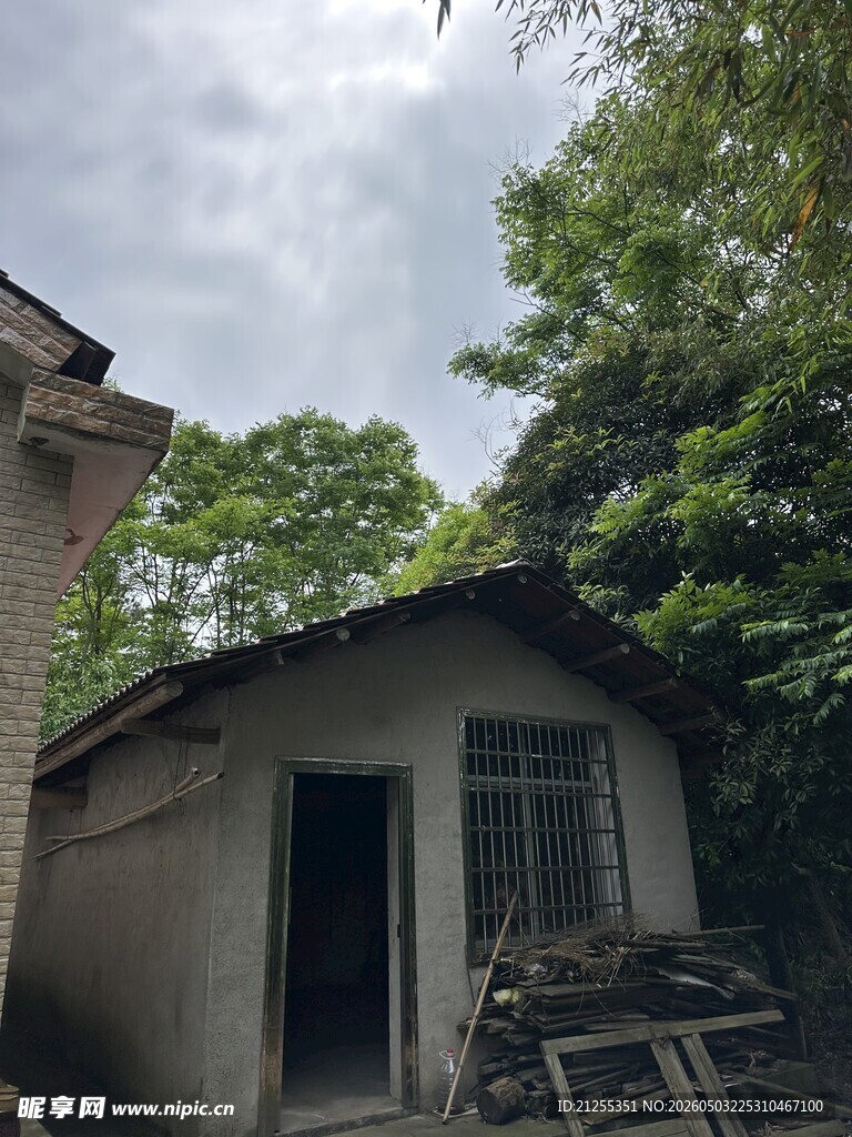 乡村小屋隐于绿树之间