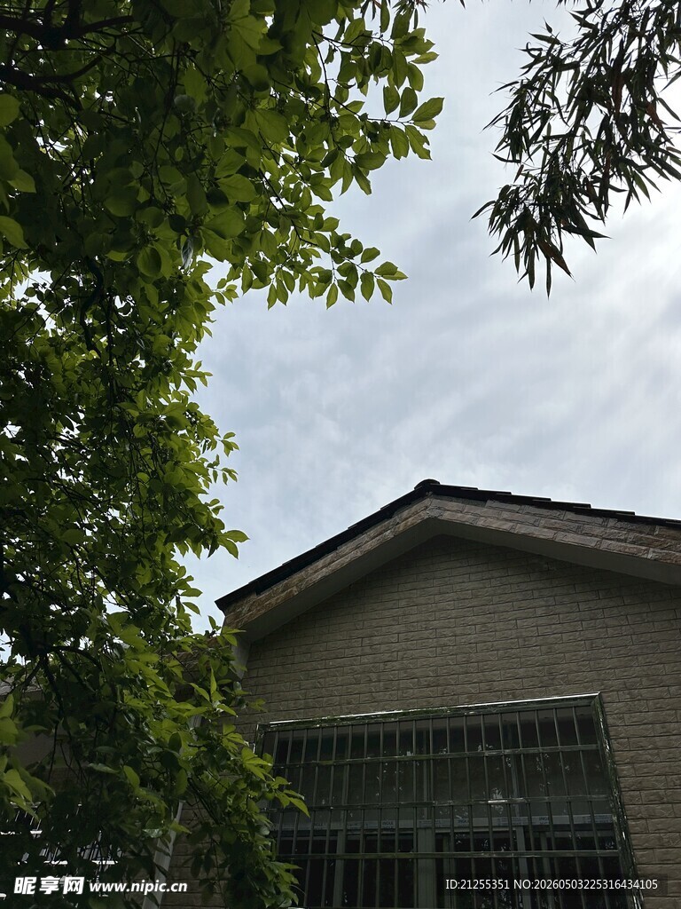 绿树环绕的房屋一角