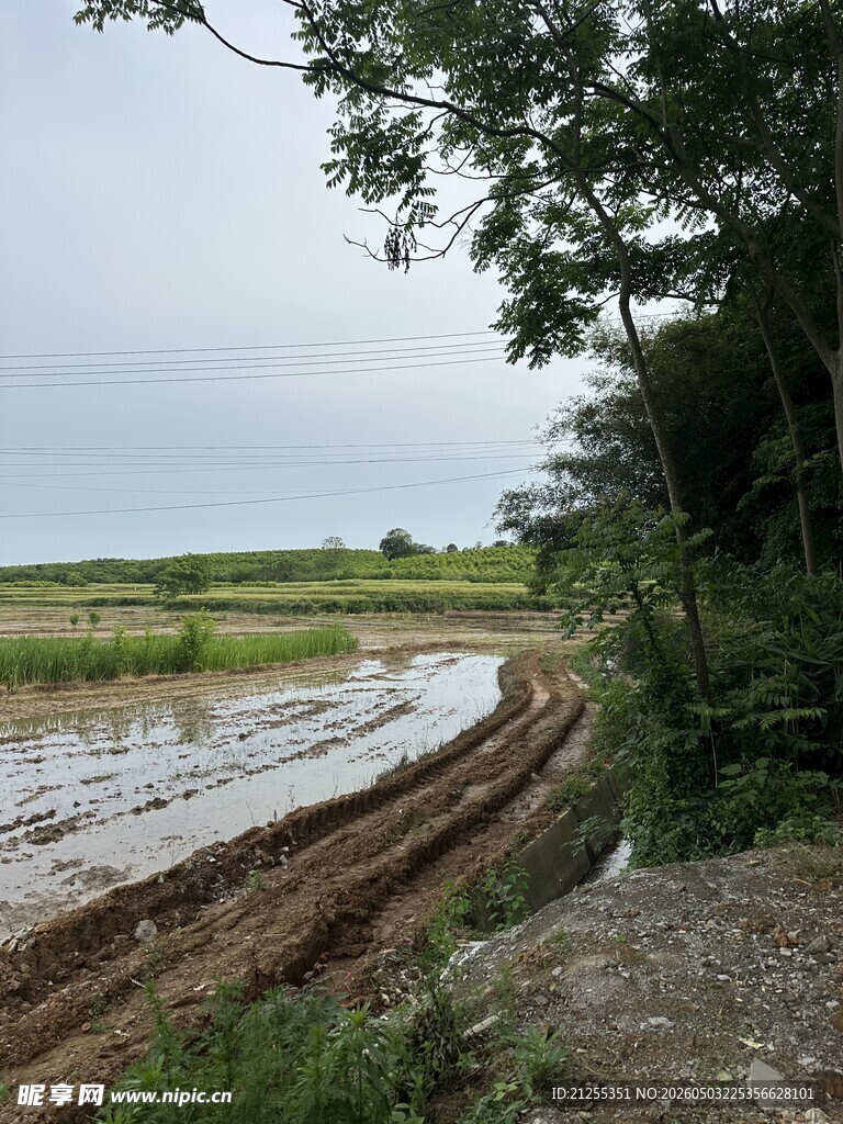 乡村水田风光景色