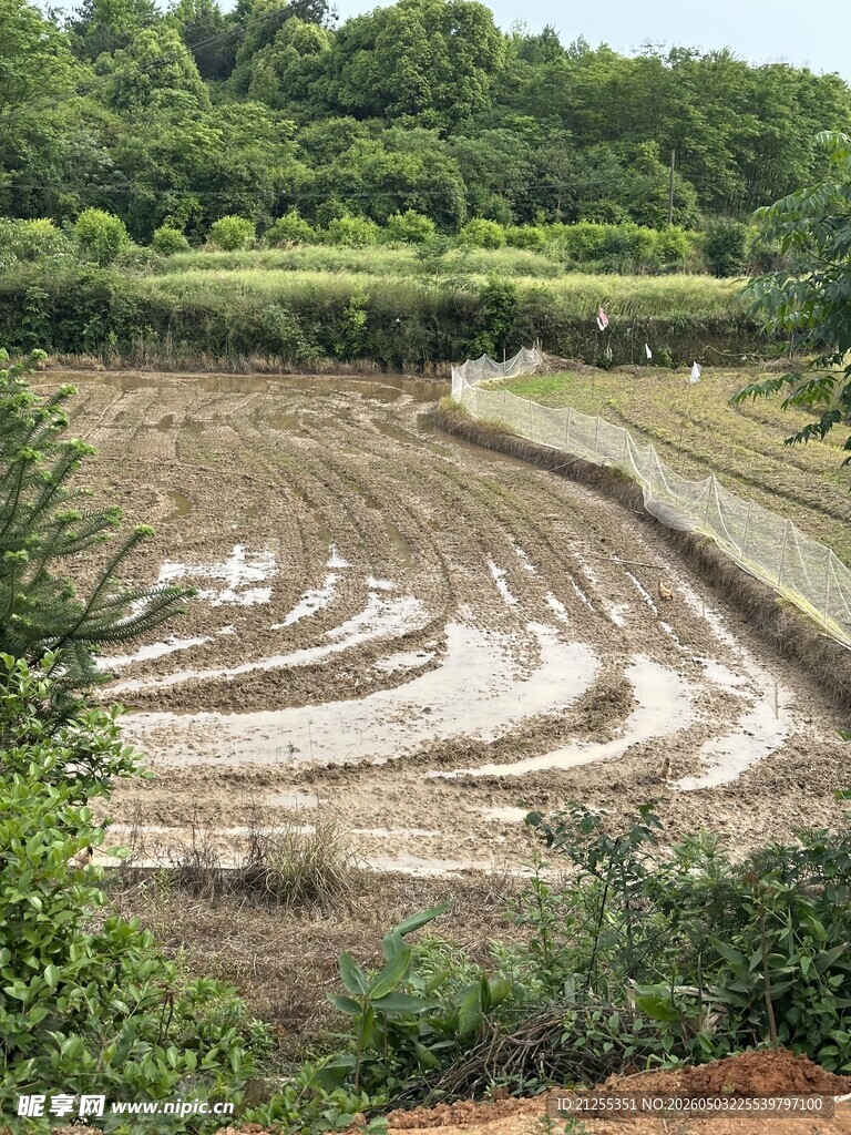 田园梯田景观