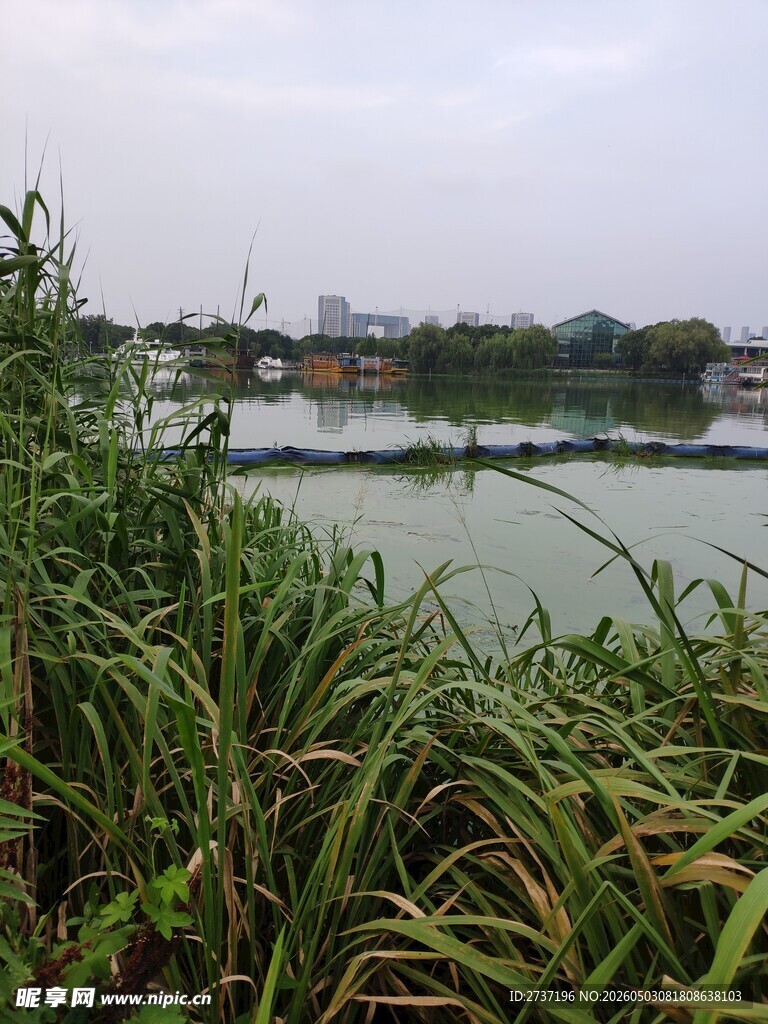 湖畔