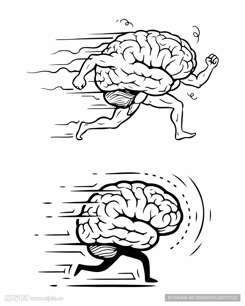人脑图案