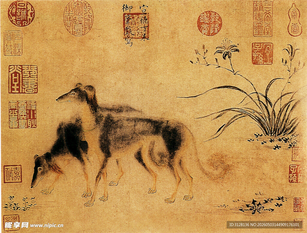 猎犬图