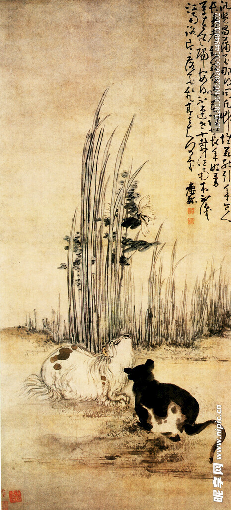 双猫图