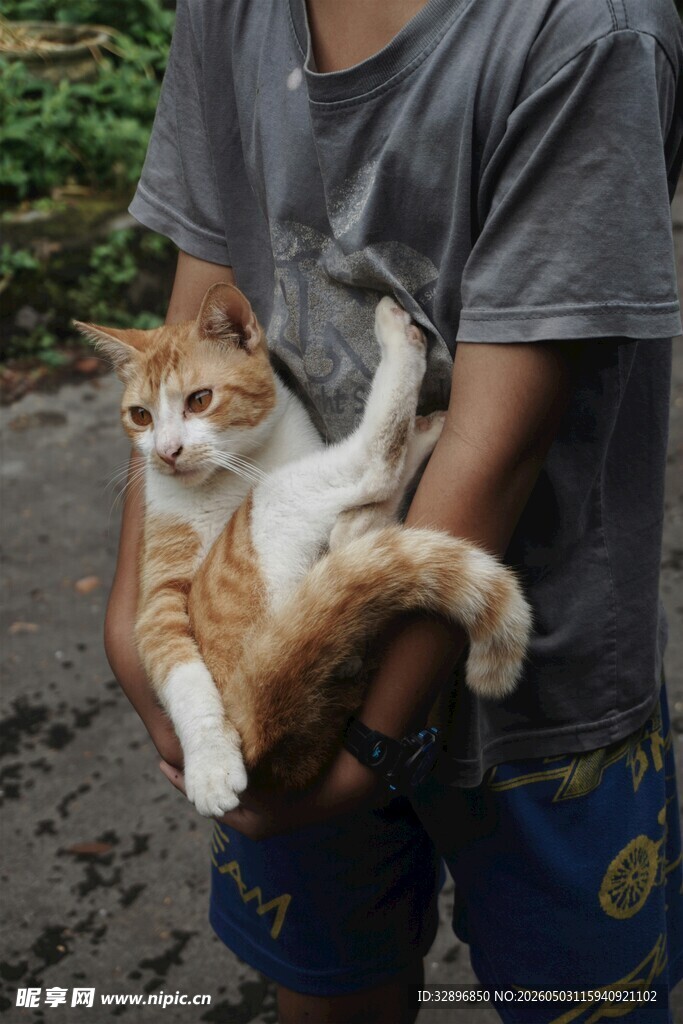 男子双手捧起可爱猫咪