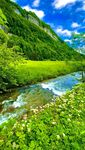 山间溪流旁的翠绿美景