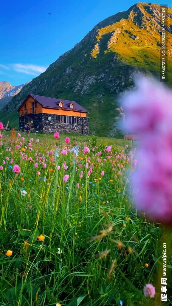 山间花海中的梦幻小屋