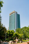 城市中绿树环绕的高楼大厦