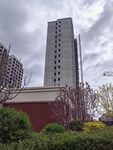 城市高楼与绿植景观