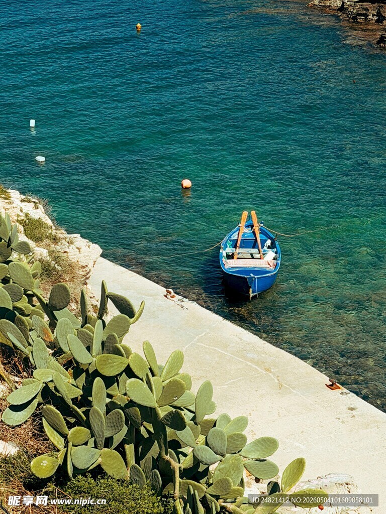 海边小船与岸边绿植景观