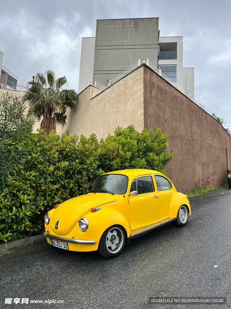 复古黄色甲壳虫停于绿植旁