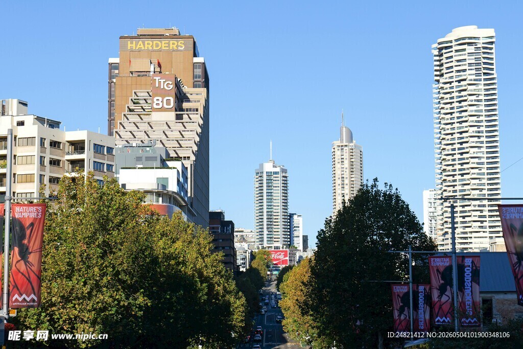 城市天际线与绿树景观