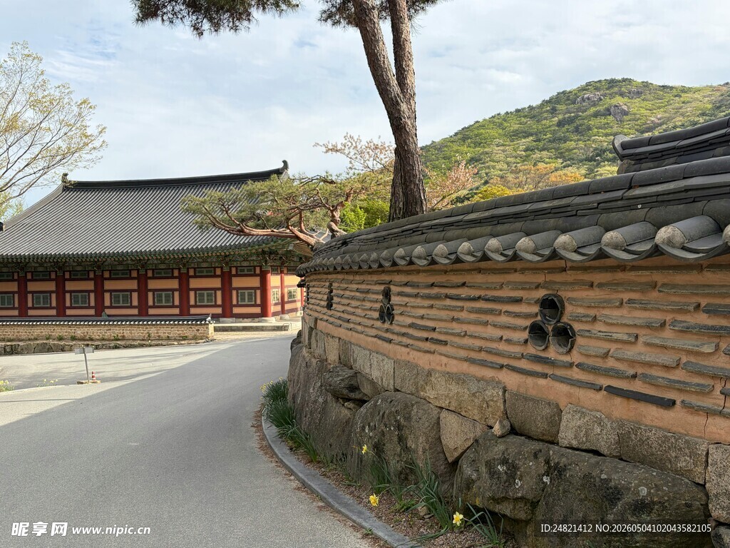 古雅日式建筑旁的石墙小道
