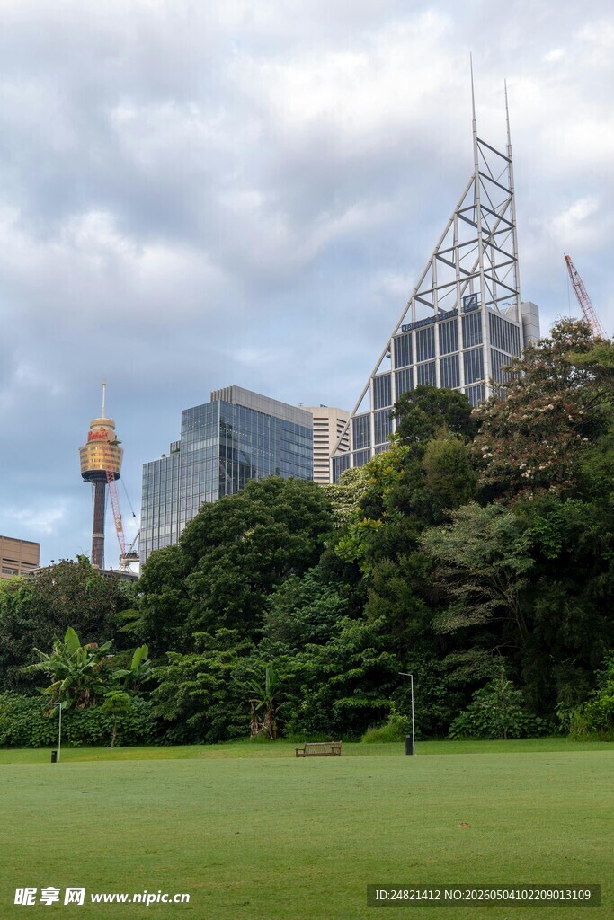 城市绿地与高楼景观